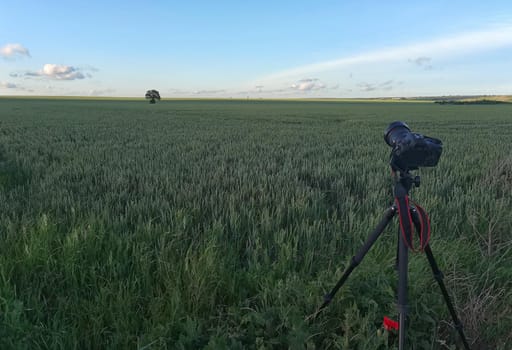 A camera with a lens on a tripod, ready for taking photos or videos in nature. Photographing and filming landscapes, wildlife.