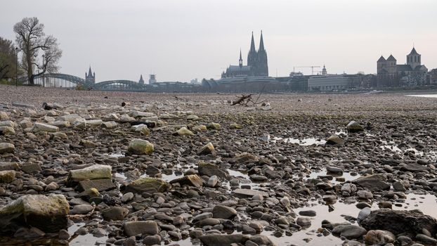 Low water of the Rhine river in Cologne, drought in Germany