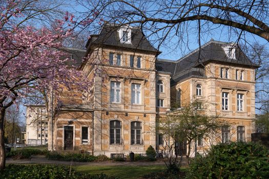 Villa Zanders with blooming cherry tree at springtime, landmark of Bergisch Gladbach, North Rhine Westphalia, Germany