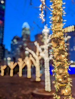 charlotte nc early morning decorated with holiday lights