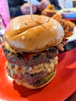 grass fed bison burger and sweet maple fries