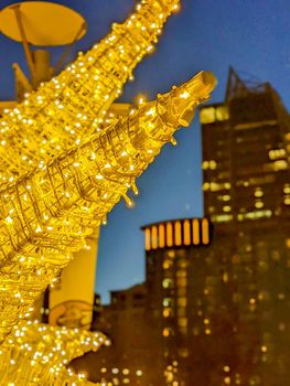 charlotte nc early morning decorated with holiday lights