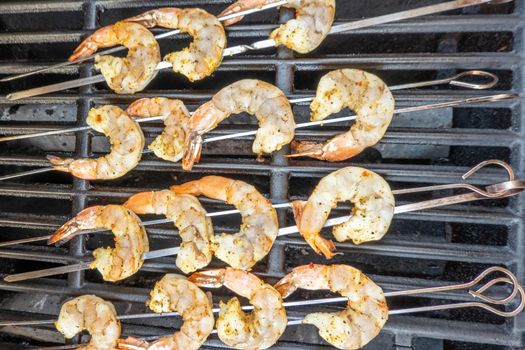 jumbo shrimp on skewers on a grill for dinner