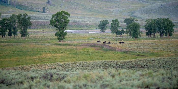 The sun setting over the Lamar Valley near the northeast entrance of Yellowstone National Park in Wyoming.