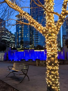 charlotte nc early morning decorated with holiday lights