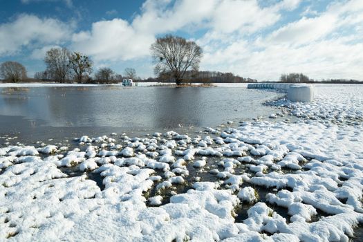 Snow and water in the meadow with trees, winter sunny day