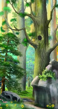 Hollow in a large pine tree in the taiga on a summer day. Digital Painting Background, Illustration.