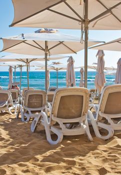 Rows of plastic reclining chairs / lounge recliners / sunbeds on a golden sandy beach in the summer with shade umbrellas