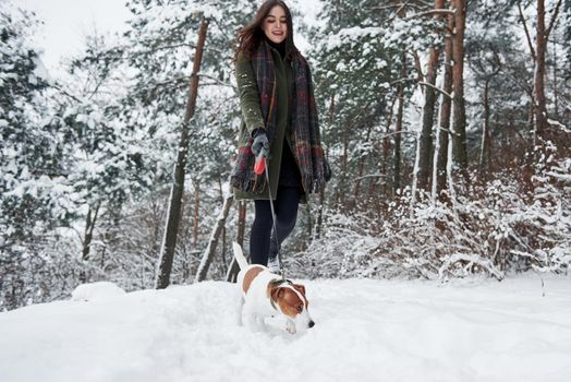 Nice weekend. Woman in warm clothes walks the dog in the snowy forest. Front view.