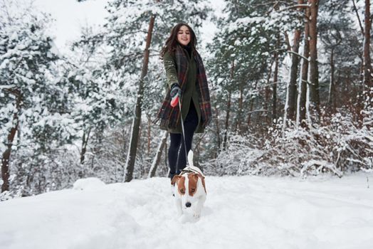 View from the ground level. Woman in warm clothes walks the dog in the snowy forest.