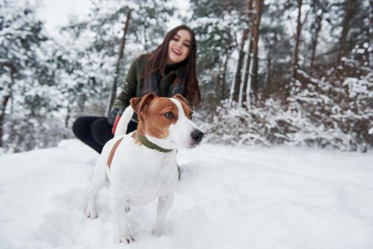 Focused photo. Smiling brunette having fun while walking with her dog in the winter park.