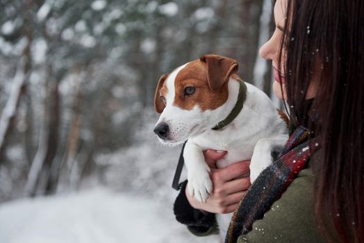 Pretty nice animal. Smiling brunette having fun while walking with her dog in the winter park.