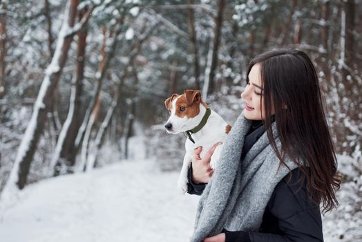 Standing in the woods. Smiling brunette having fun while walking with her dog in the winter park.