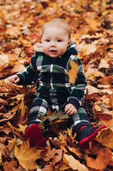 Portrait of cute baby in checked green, blue and black overall with hood sitting on the ground covered with bright dry foliage on autumn day. Fair haired baby in overall on vivid colorful leaves in the autumnal park or forest.