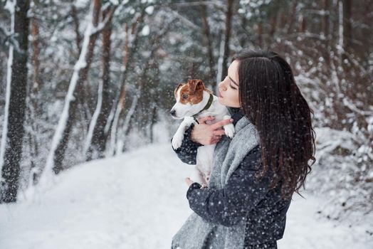 Turning from the woman to the side. Smiling brunette having fun while walking with her dog in the winter park.