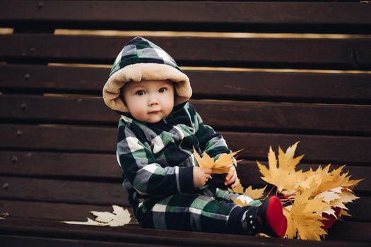 Portrait of cute baby in checked green, blue and black overall with hood sitting on the ground covered with bright dry foliage on autumn day. Fair haired baby in overall on vivid colorful leaves in the autumnal park or forest.