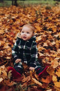 Portrait of cute baby in checked green, blue and black overall with hood sitting on the ground covered with bright dry foliage on autumn day. Fair haired baby in overall on vivid colorful leaves in the autumnal park or forest.