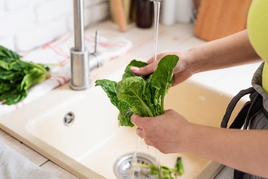 Preparing healthy foods. Healthy eating and dieting. Young smiling woman in home clothes washing spinash in the kitchen