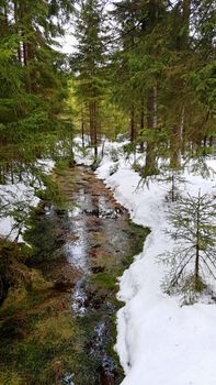 Kladska nature reserve in the winter.