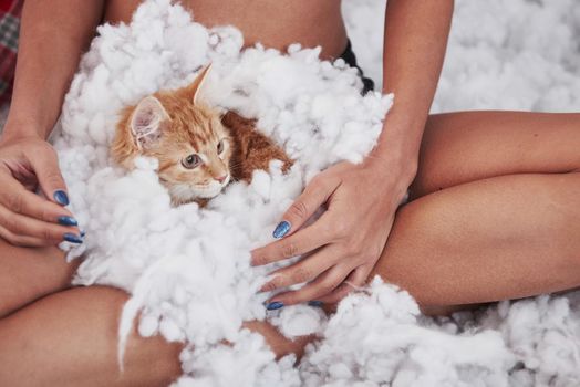 Cute cat sitting on the white bed on the woman's legs. Particle photo.