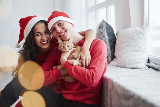 Hugging each other. Portrait of couple with little kitty celebrates holidays in new year clothes.
