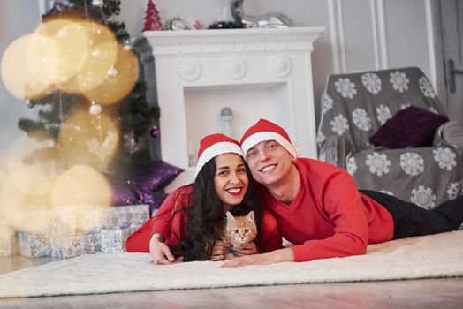 Green tree and fireplace behind. Portrait of couple with little kitty celebrates holidays in new year clothes.
