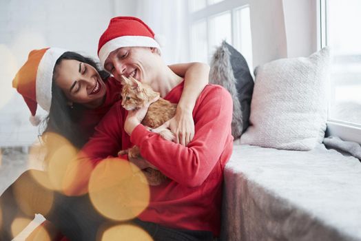 Looking at cat and smiling. Portrait of couple with little kitty celebrates holidays in new year clothes.