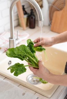 Preparing healthy foods. Healthy eating and dieting. Young smiling woman in home clothes washing spinash in the kitchen