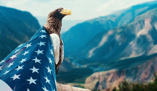 Eagle With American Flag on sunset river background