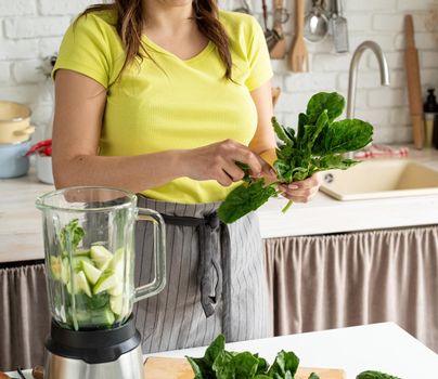 Preparing healthy foods. Healthy eating and dieting. Young brunette woman making green smoothie at home kitchen