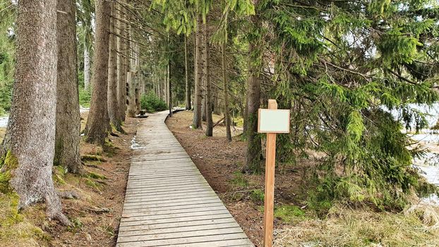 Kladska nature reserve trail. Wooden footpath.