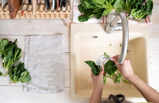 Preparing healthy foods. Healthy eating and dieting. Young smiling woman in home clothes washing spinash in the kitchen