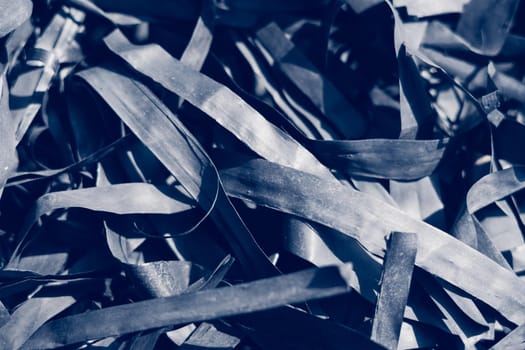 Abstract background. Real nature photo. Macro close up bunch heap pile long black dark blue contrast dry beauty tropical plant leaves like flat wide narrow fabric ribbons lines. Sunlit detail texture.