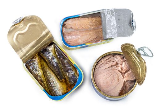 canned fish, several types of fish in various oils marketed
