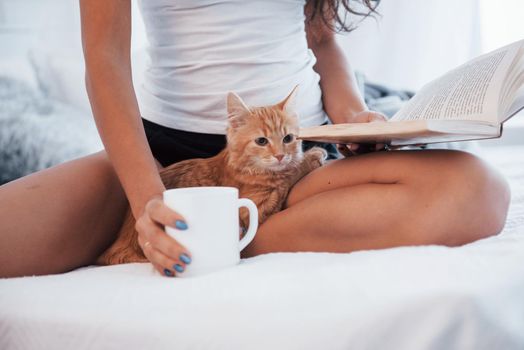 Close up view. Attractive blonde resting on the white bed with her cute kitten.