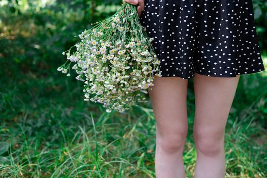 unrecognizable womens legs in black dress in white dots and white wildflowers outdoors on nature background on summertime.