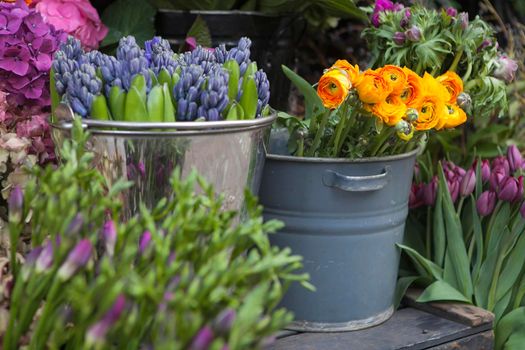 Yellow lupines, purple anemone, lilac hyacinths, hydrangea in tin buckets for sale as decoration of the store entrance