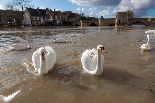 ST IVES, UK - MARCH. 01 2015: Water rises high in aftermath of February stormy weather, in St Ives, Cambridgeshire, UK