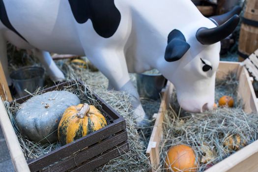 Milk - decoration on farm. Agriculture, farming. Farmer milk in bottles. Natural milk, organic milk. Vintage ornament with hay, straw and bottles with yogurt. Farmer product. Rustic decor. Products