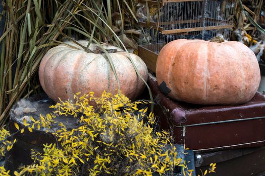 Halloween decorations: old suitcase, burlap, bush, pumpkins, straw, lanterns are located at the entrance to the house
