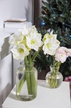 A bouquet of pink Persian buttercups in a glass vase and two wrapped gifts on a white table in front of a fake white fireplace. Bouquet of white amaryllis in a tall vase