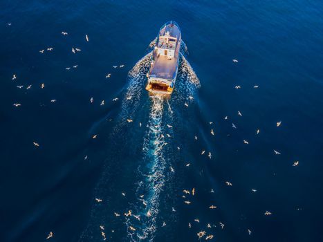 professional fisherboat with many seagulls come back in the harbor. Aerial view, drone.