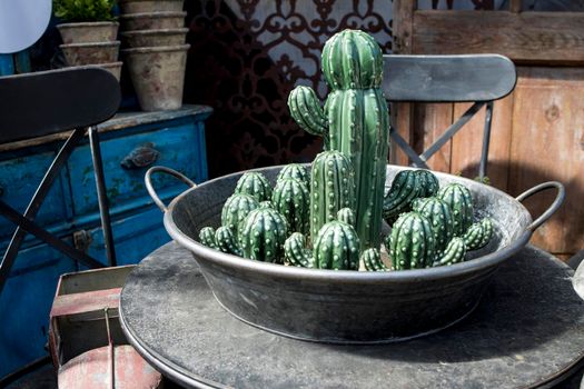 Ceramic figurines of cacti in a tin basin on the table as decoration of the veranda