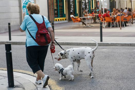 Blanes, Catalonia, Spain. - 25 July 2017, An elderly woman leads two dogs: a great dane and a lapdog on a leash for a walk