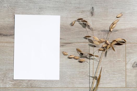 Blank paper business cards with mockup copy space on rye, wheat stalks on beige background. Minimal business template. Flatlay, top view.