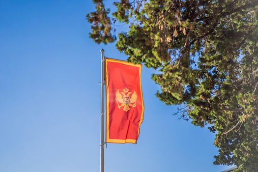 Montenegro flag on a background of blue sky and trees.