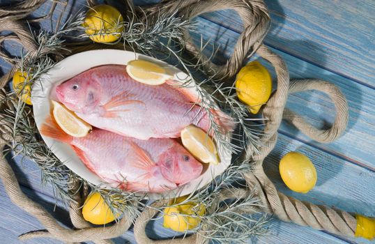 raw fresh fish Pink tilapia on a plate in rope loops, against a background of blue boards, surrounded by yellow lemons. Food photography, top view, colorful food, delicious dinner,. High quality photo