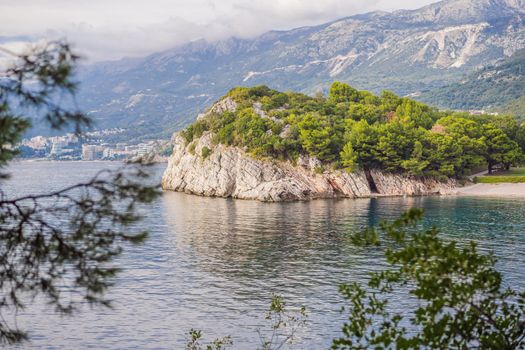 Panoramic summer landscape of the beautiful green Royal park Milocer on the shore of the the Adriatic Sea, Montenegro.