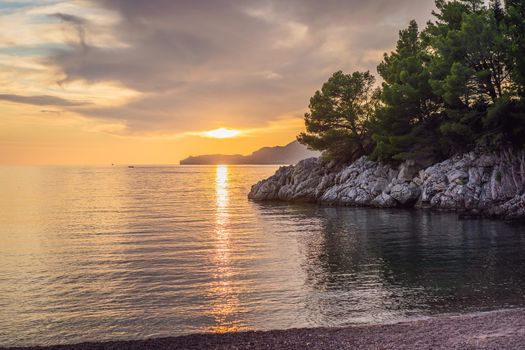 Panoramic summer landscape of the beautiful green Royal park Milocer on the shore of the the Adriatic Sea, Montenegro.