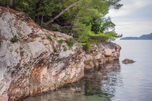 Panoramic summer landscape of the beautiful green Royal park Milocer on the shore of the the Adriatic Sea, Montenegro.